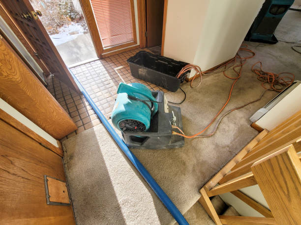 Water damage restoration