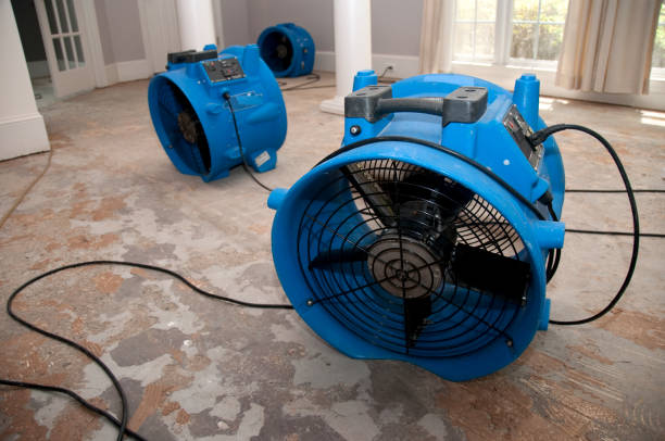 Best Water damage restoration near me  in Whitesboro, TX
