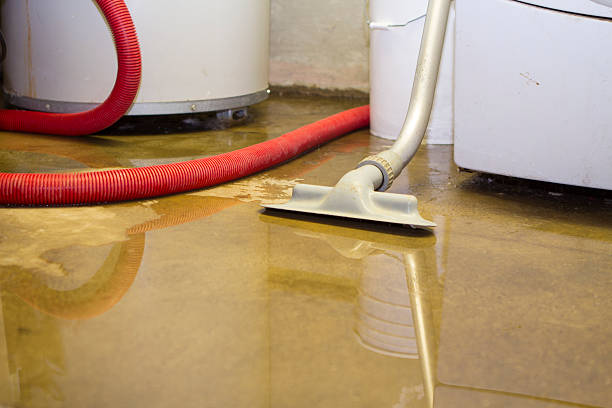 Best 24-hour water damage restoration  in Whitesboro, TX