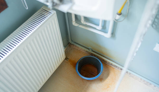 Best Local water damage restoration  in Whitesboro, TX
