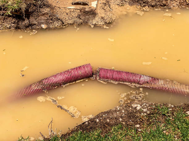 Best Professional water damage repair  in Whitesboro, TX