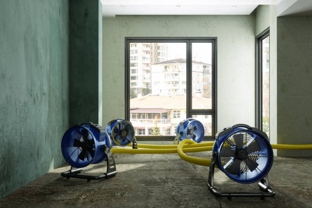 Best Sewage cleanup and water damage restoration  in Whitesboro, TX
